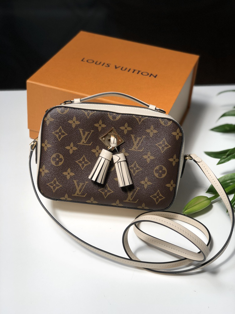 Louis Vuitton Saintonge Unboxing & Try On