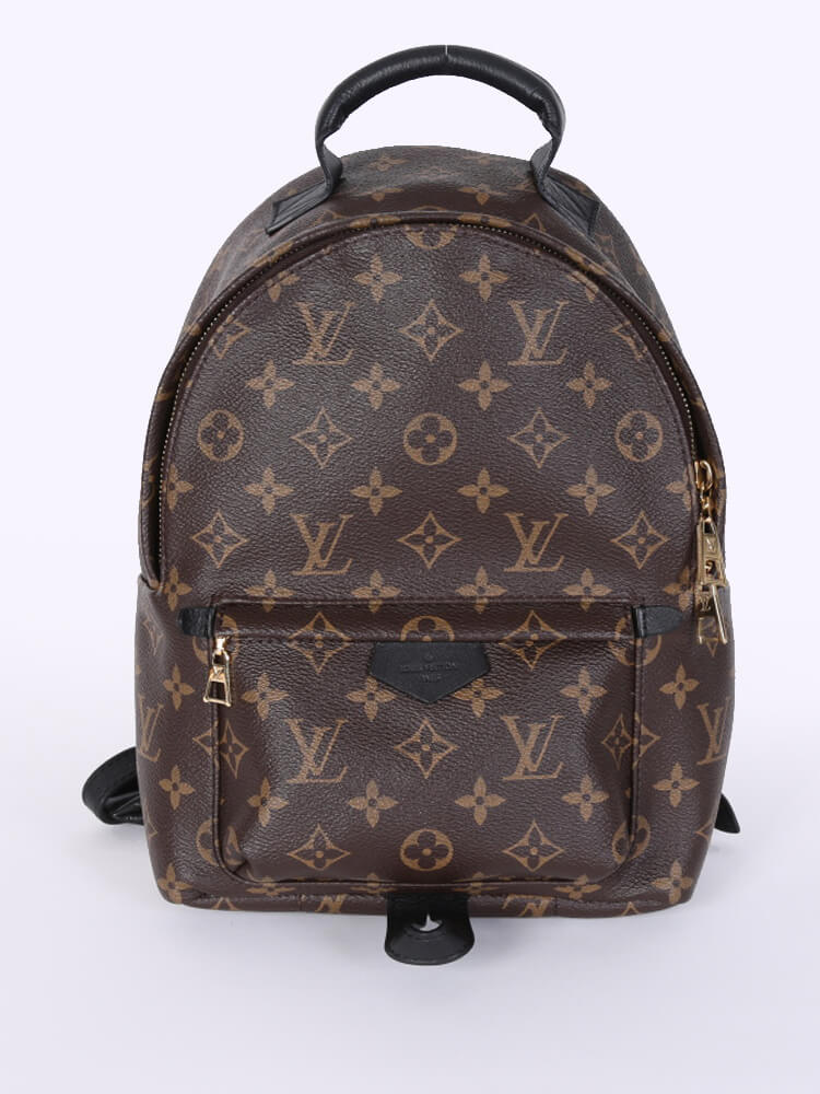 Louis Vuitton - Palm Springs Backpack PM Monogram Canvas