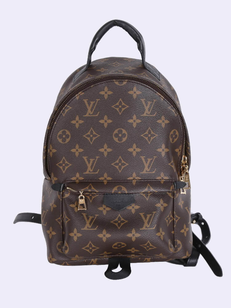 Palm Springs Backpack PM in Monogram