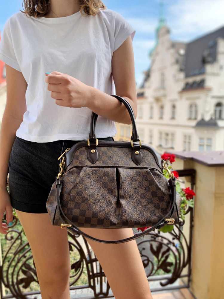 Louis Vuitton Damier Ebene Canvas Trevi PM Bag - Timeless Elegance