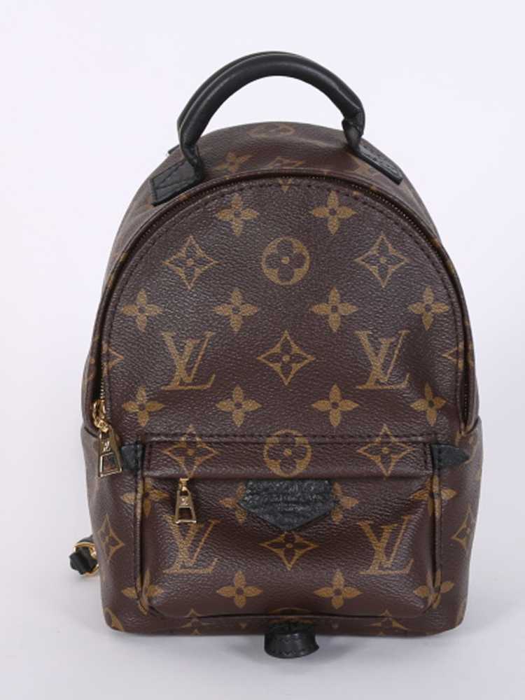 Louis Vuitton batoh mini Palm Spring - Praha 