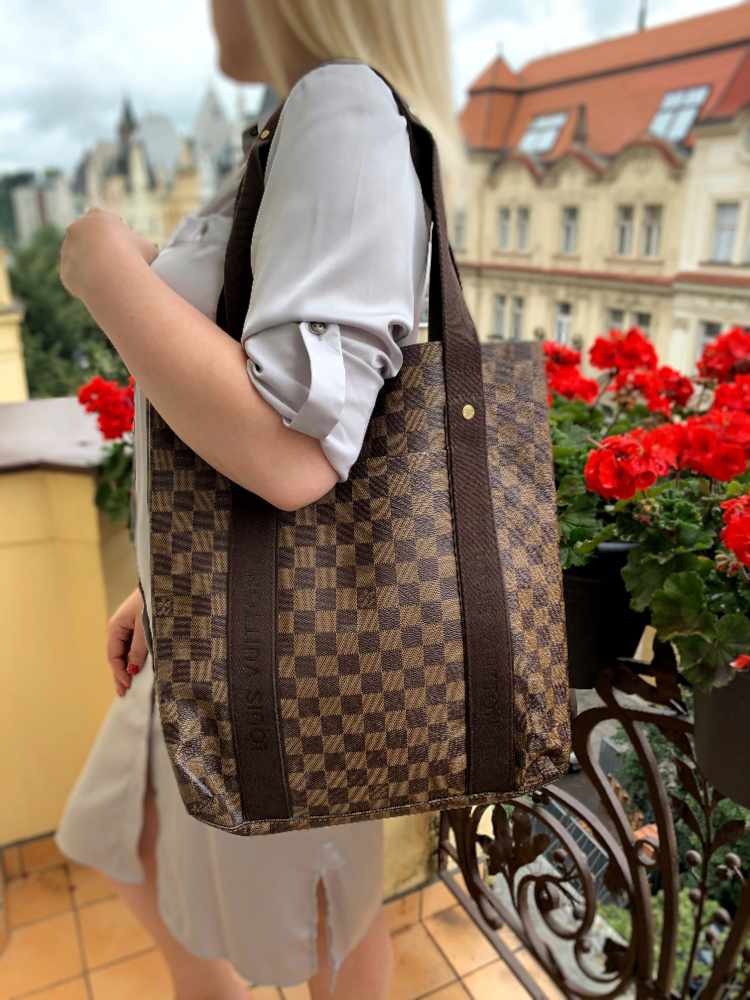 vuitton damier ebene canvas cabas