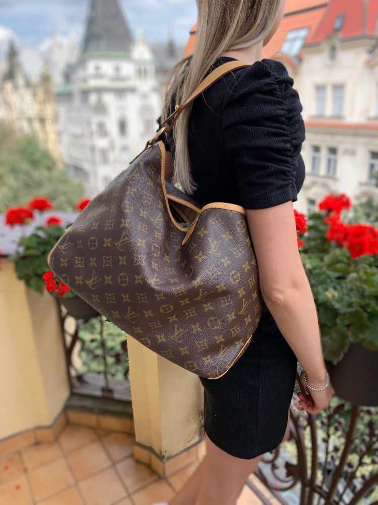 Louis Delightful PM Monogram Canvas | www.luxurybags.eu