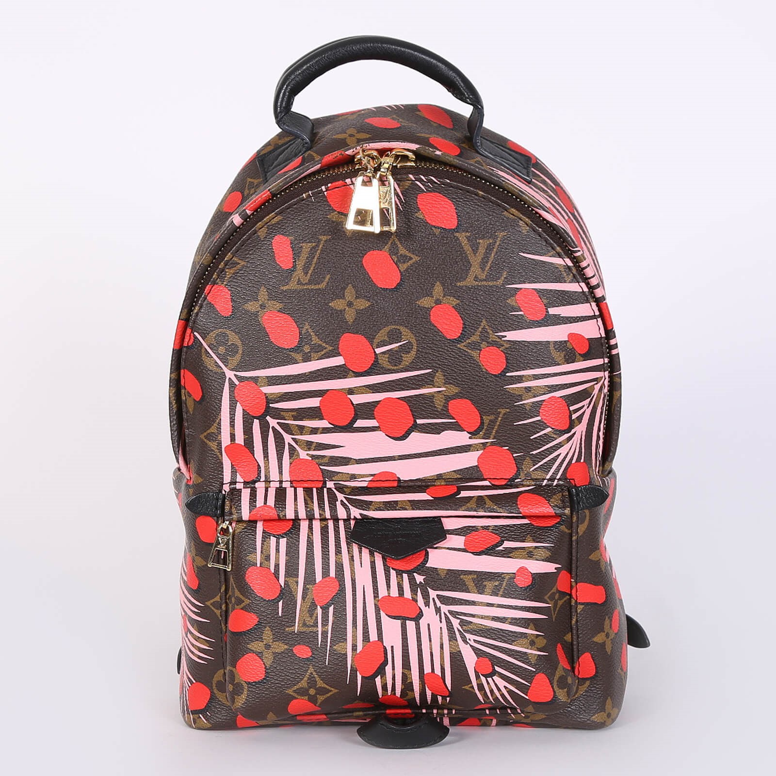 Louis Vuitton | Canvas Palm Springs Backpack | MM